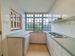 Chancery Grove (D11), Terrace #519429511